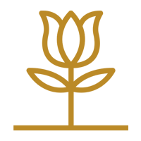 Home Flower